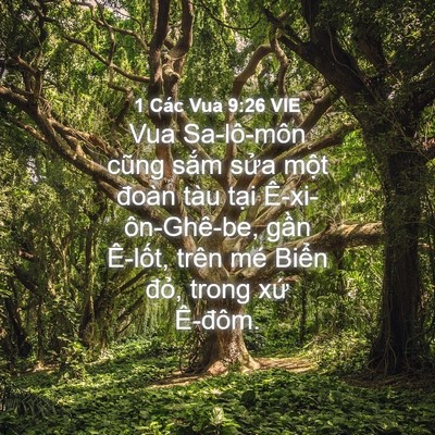 Picture 04 - 1 Các Vua 9:26 VIE - Vua Sa-lô-môn cũng sắm sửa một đoàn - Bible Verse Picture