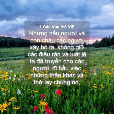 Picture 04 - 1 Các Vua 9:6 VIE - Nhưng nếu ngươi và con cháu các ngươi - Bible Verse Picture