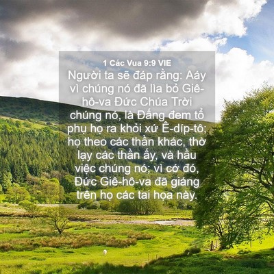 Picture 04 - 1 Các Vua 9:9 VIE - Người ta sẽ đáp rằng: Aáy vì chúng - Bible Verse Picture