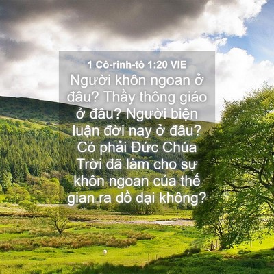 Picture 04 - 1 Cô-rinh-tô 1:20 VIE - Người khôn ngoan ở đâu? Thầy thông - Bible Verse Picture
