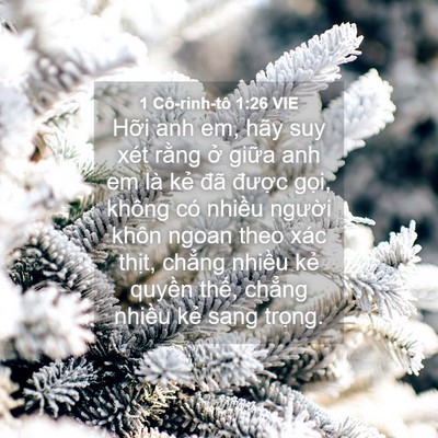 Picture 04 - 1 Cô-rinh-tô 1:26 VIE - Hỡi anh em, hãy suy xét rằng ở giữa anh - Bible Verse Picture