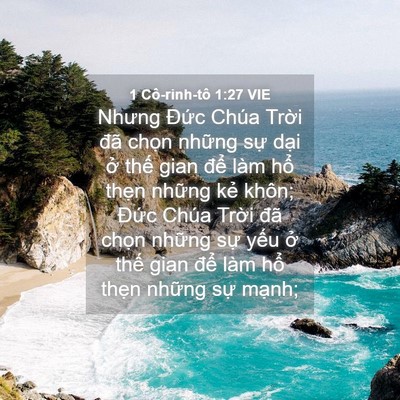 Picture 04 - 1 Cô-rinh-tô 1:27 VIE - Nhưng Đức Chúa Trời đã chọn những - Bible Verse Picture