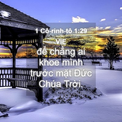 Picture 04 - 1 Cô-rinh-tô 1:29 VIE - để chẳng ai khoe mình trước mặt Đức - Bible Verse Picture