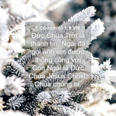 Picture 04 - 1 Cô-rinh-tô 1:9 VIE - Đức Chúa Trời là thành tín, Ngài đã - Bible Verse Picture