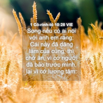 Picture 04 - 1 Cô-rinh-tô 10:28 VIE - Song nếu có ai nói với anh em rằng: Cái - Bible Verse Picture