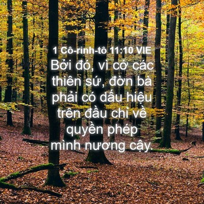 Picture 04 - 1 Cô-rinh-tô 11:10 VIE - Bởi đó, vì cớ các thiên sứ, đờn bà - Bible Verse Picture
