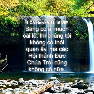 Picture 04 - 1 Cô-rinh-tô 11:16 VIE - Bằng có ai muốn cãi lẽ, thì chúng tôi - Bible Verse Picture