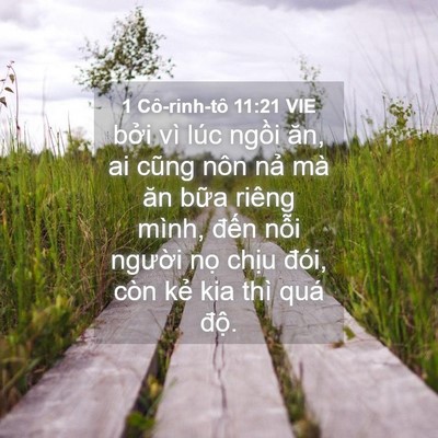 Picture 04 - 1 Cô-rinh-tô 11:21 VIE - bởi vì lúc ngồi ăn, ai cũng nôn nả mà - Bible Verse Picture