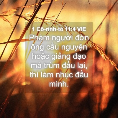 Picture 04 - 1 Cô-rinh-tô 11:4 VIE - Phàm người đờn ông cầu nguyện hoặc - Bible Verse Picture