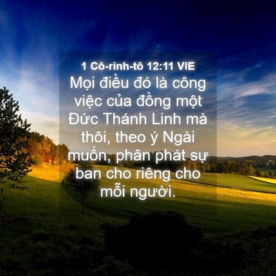 Picture 04 - 1 Cô-rinh-tô 12:11 VIE - Mọi điều đó là công việc của đồng - Bible Verse Picture