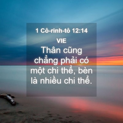 Picture 04 - 1 Cô-rinh-tô 12:14 VIE - Thân cũng chẳng phải có một chi thể, - Bible Verse Picture