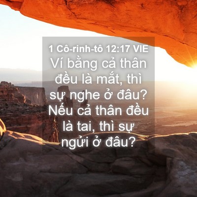 Picture 04 - 1 Cô-rinh-tô 12:17 VIE - Ví bằng cả thân đều là mắt, thì sự - Bible Verse Picture