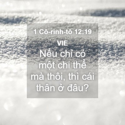 Picture 04 - 1 Cô-rinh-tô 12:19 VIE - Nếu chỉ có một chi thể mà thôi, thì - Bible Verse Picture