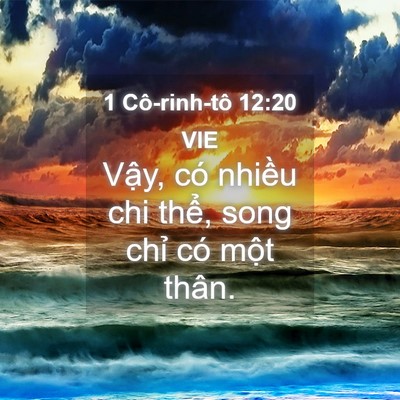 Picture 04 - 1 Cô-rinh-tô 12:20 VIE - Vậy, có nhiều chi thể, song chỉ có - Bible Verse Picture