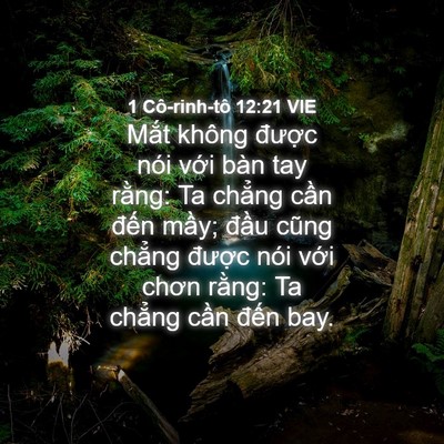 Picture 04 - 1 Cô-rinh-tô 12:21 VIE - Mắt không được nói với bàn tay rằng: - Bible Verse Picture