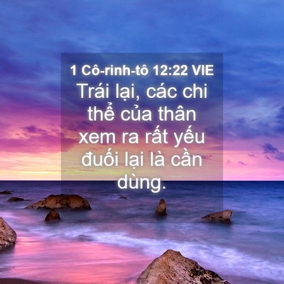 Picture 04 - 1 Cô-rinh-tô 12:22 VIE - Trái lại, các chi thể của thân xem ra - Bible Verse Picture