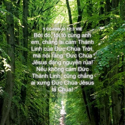 Picture 04 - 1 Cô-rinh-tô 12:3 VIE - Bởi đó, tôi tỏ cùng anh em, chẳng ai - Bible Verse Picture