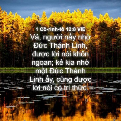 Picture 04 - 1 Cô-rinh-tô 12:8 VIE - Vả, người nầy nhờ Đức Thánh Linh, - Bible Verse Picture