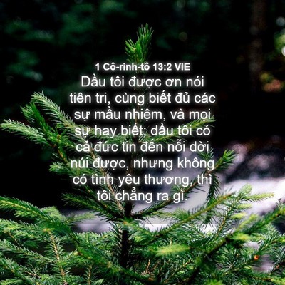 Picture 04 - 1 Cô-rinh-tô 13:2 VIE - Dầu tôi được ơn nói tiên tri, cùng - Bible Verse Picture