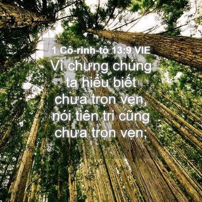 Picture 04 - 1 Cô-rinh-tô 13:9 VIE - Vì chưng chúng ta hiểu biết chưa trọn - Bible Verse Picture