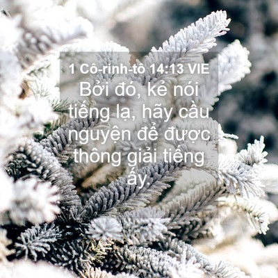 Picture 04 - 1 Cô-rinh-tô 14:13 VIE - Bởi đó, kẻ nói tiếng lạ, hãy cầu - Bible Verse Picture