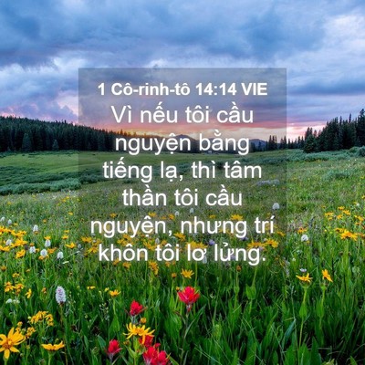 Picture 04 - 1 Cô-rinh-tô 14:14 VIE - Vì nếu tôi cầu nguyện bằng tiếng - Bible Verse Picture