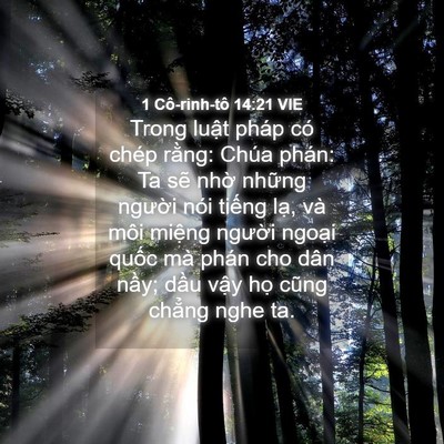 Picture 04 - 1 Cô-rinh-tô 14:21 VIE - Trong luật pháp có chép rằng: Chúa phán: - Bible Verse Picture