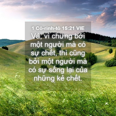 Picture 04 - 1 Cô-rinh-tô 15:21 VIE - Vả, vì chưng bởi một người mà có - Bible Verse Picture