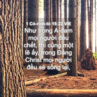 Picture 04 - 1 Cô-rinh-tô 15:22 VIE - Như trong A-đam mọi người đều chết, - Bible Verse Picture