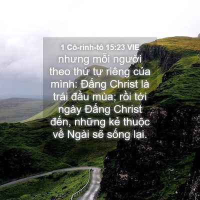 Picture 04 - 1 Cô-rinh-tô 15:23 VIE - nhưng mỗi người theo thứ tự riêng - Bible Verse Picture
