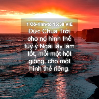 Picture 04 - 1 Cô-rinh-tô 15:38 VIE - Đức Chúa Trời cho nó hình thể tùy ý - Bible Verse Picture