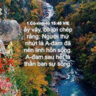 Picture 04 - 1 Cô-rinh-tô 15:45 VIE - ấy vậy, có lời chép rằng: Người - Bible Verse Picture