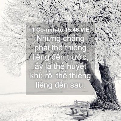 Picture 04 - 1 Cô-rinh-tô 15:46 VIE - Nhưng chẳng phải thể thiêng liêng đến - Bible Verse Picture