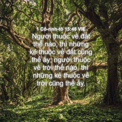 Picture 04 - 1 Cô-rinh-tô 15:48 VIE - Người thuộc về đất thể nào, thì - Bible Verse Picture