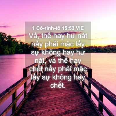 Picture 04 - 1 Cô-rinh-tô 15:53 VIE - Vả, thể hay hư nát nầy phải mặc lấy - Bible Verse Picture