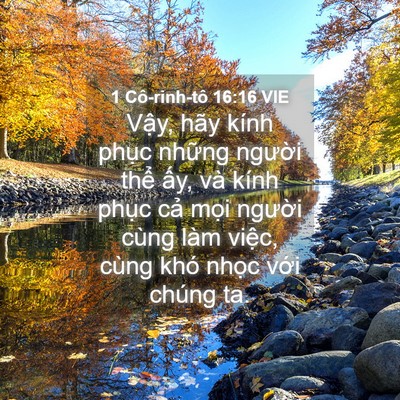 Picture 04 - 1 Cô-rinh-tô 16:16 VIE - Vậy, hãy kính phục những người thể - Bible Verse Picture