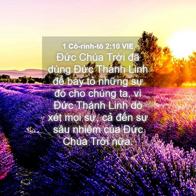 Picture 04 - 1 Cô-rinh-tô 2:10 VIE - Đức Chúa Trời đã dùng Đức Thánh Linh - Bible Verse Picture