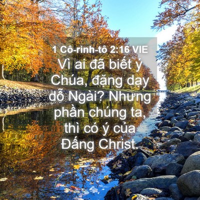 Picture 04 - 1 Cô-rinh-tô 2:16 VIE - Vì ai đã biết ý Chúa, đặng dạy dỗ - Bible Verse Picture