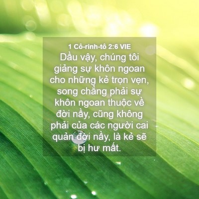 Picture 04 - 1 Cô-rinh-tô 2:6 VIE - Dầu vậy, chúng tôi giảng sự khôn ngoan - Bible Verse Picture