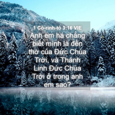 Picture 04 - 1 Cô-rinh-tô 3:16 VIE - Anh em há chẳng biết mình là đền thờ - Bible Verse Picture
