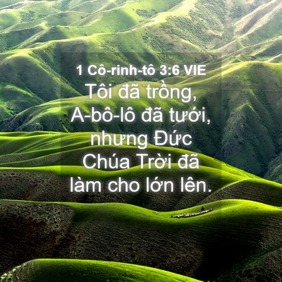 Picture 04 - 1 Cô-rinh-tô 3:6 VIE - Tôi đã trồng, A-bô-lô đã tưới, nhưng - Bible Verse Picture
