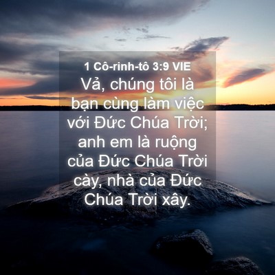 Picture 04 - 1 Cô-rinh-tô 3:9 VIE - Vả, chúng tôi là bạn cùng làm việc - Bible Verse Picture