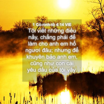 Picture 04 - 1 Cô-rinh-tô 4:14 VIE - Tôi viết những điều nầy, chẳng phải - Bible Verse Picture