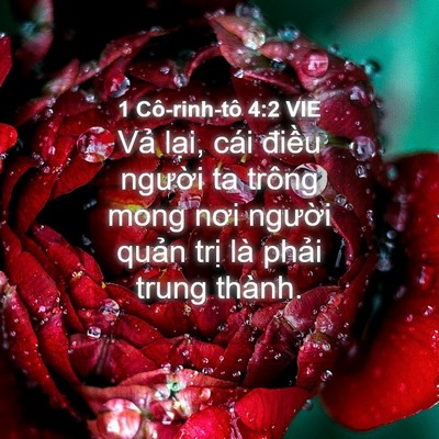 Picture 04 - 1 Cô-rinh-tô 4:2 VIE - Vả lại, cái điều người ta trông mong - Bible Verse Picture