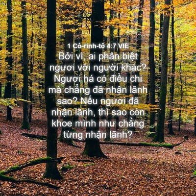 Picture 04 - 1 Cô-rinh-tô 4:7 VIE - Bởi vì, ai phân biệt ngươi với người - Bible Verse Picture