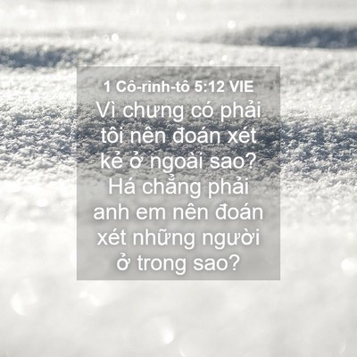 Picture 04 - 1 Cô-rinh-tô 5:12 VIE - Vì chưng có phải tôi nên đoán xét kẻ - Bible Verse Picture