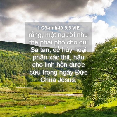 Picture 04 - 1 Cô-rinh-tô 5:5 VIE - rằng, một người như thế phải phó cho - Bible Verse Picture