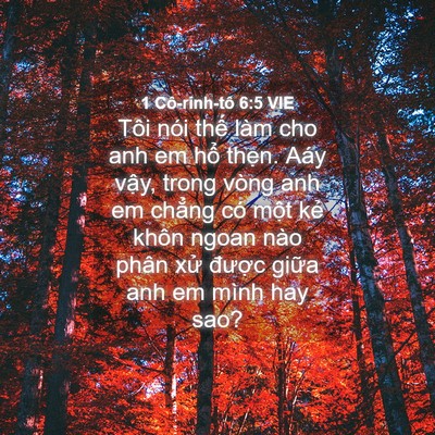 Picture 04 - 1 Cô-rinh-tô 6:5 VIE - Tôi nói thế làm cho anh em hổ thẹn. Aáy - Bible Verse Picture