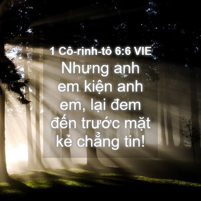Picture 04 - 1 Cô-rinh-tô 6:6 VIE - Nhưng anh em kiện anh em, lại đem đến - Bible Verse Picture