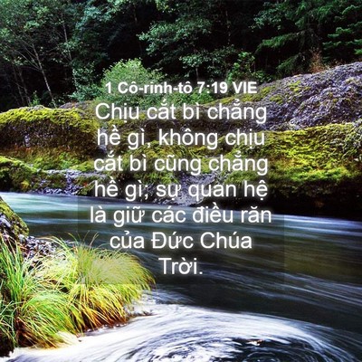 Picture 04 - 1 Cô-rinh-tô 7:19 VIE - Chịu cắt bì chẳng hề gì, không chịu - Bible Verse Picture